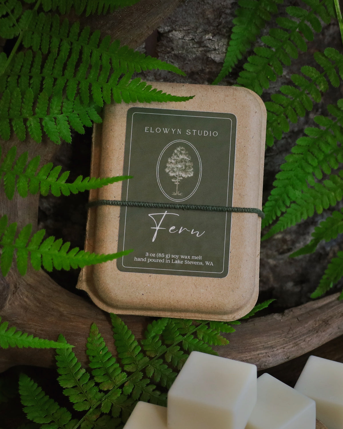 Fern Wax Melt